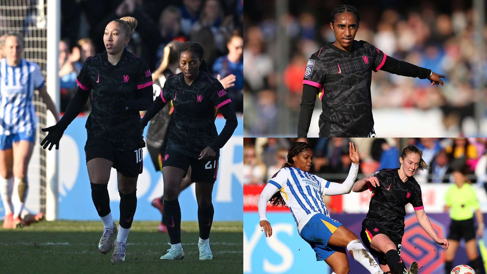 正是他们能 正是他们能